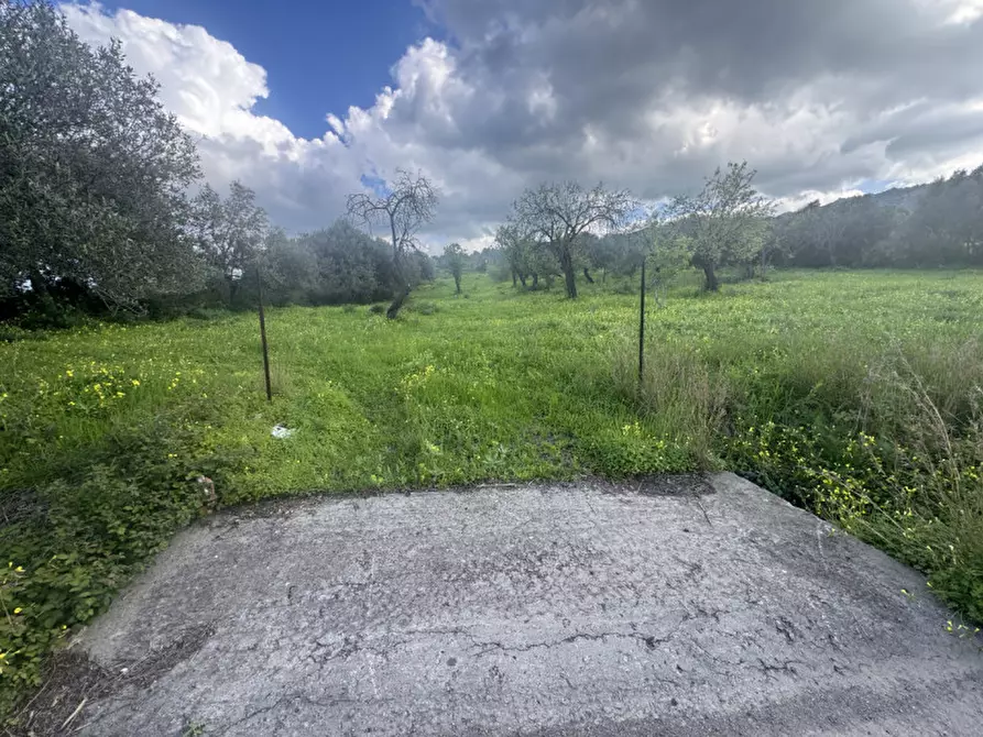 Immagine 2 di Terreno in vendita  in Via Sant'Anna, snc a Sarroch