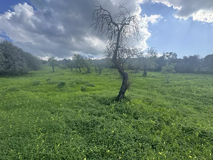 Immagine 3 di Terreno in vendita  in Via Sant'Anna, snc a Sarroch