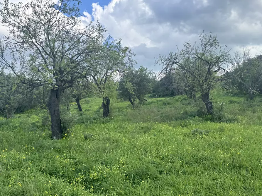 Immagine 4 di Terreno in vendita  in Via Sant'Anna, snc a Sarroch