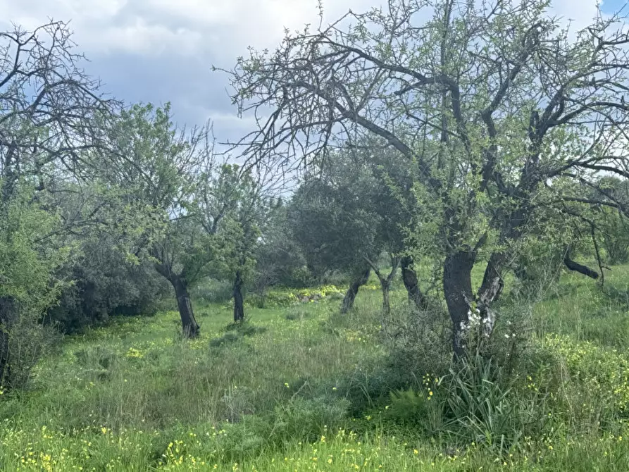 Immagine 5 di Terreno in vendita  in Via Sant'Anna, snc a Sarroch