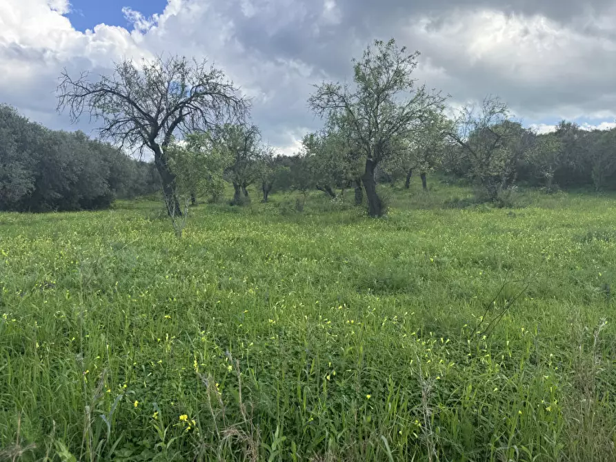 Immagine 8 di Terreno in vendita  in Via Sant'Anna, snc a Sarroch