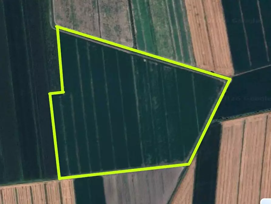 Immagine 1 di Terreno in vendita  in VIA RISORTA a Borgo Veneto