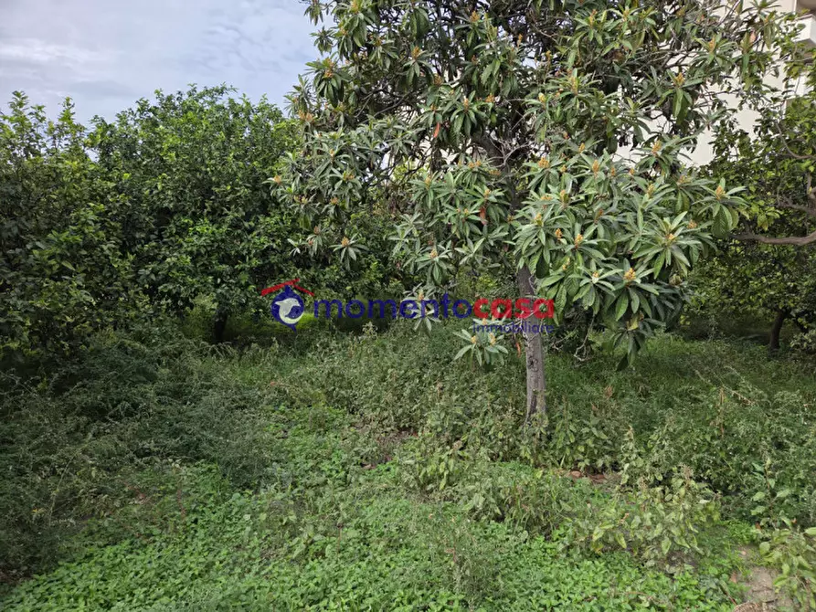 Immagine 8 di Terreno in vendita  in via Sottolume a Reggio Di Calabria