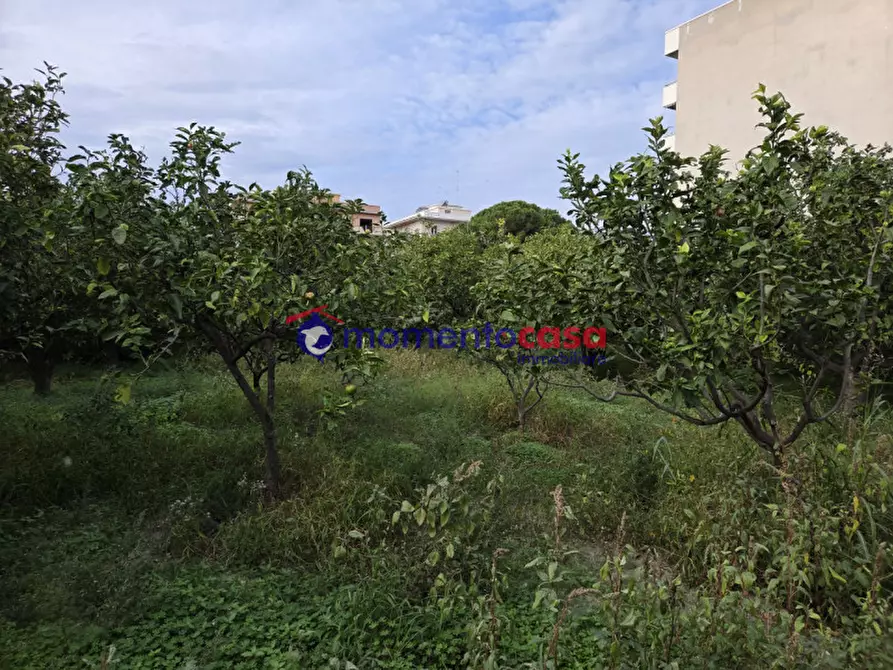 Immagine 11 di Terreno in vendita  in via Sottolume a Reggio Di Calabria