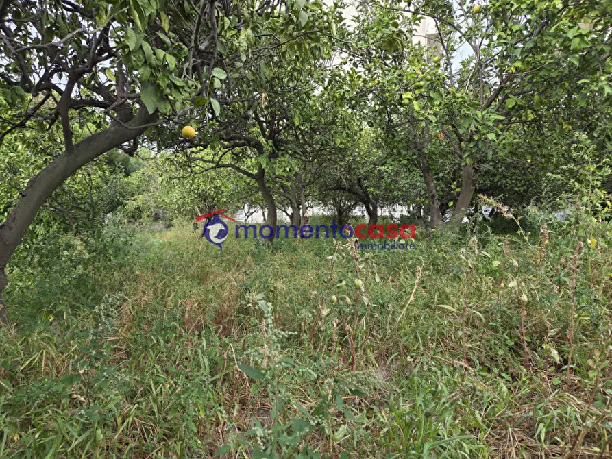 Immagine 13 di Terreno in vendita  in via Sottolume a Reggio Di Calabria