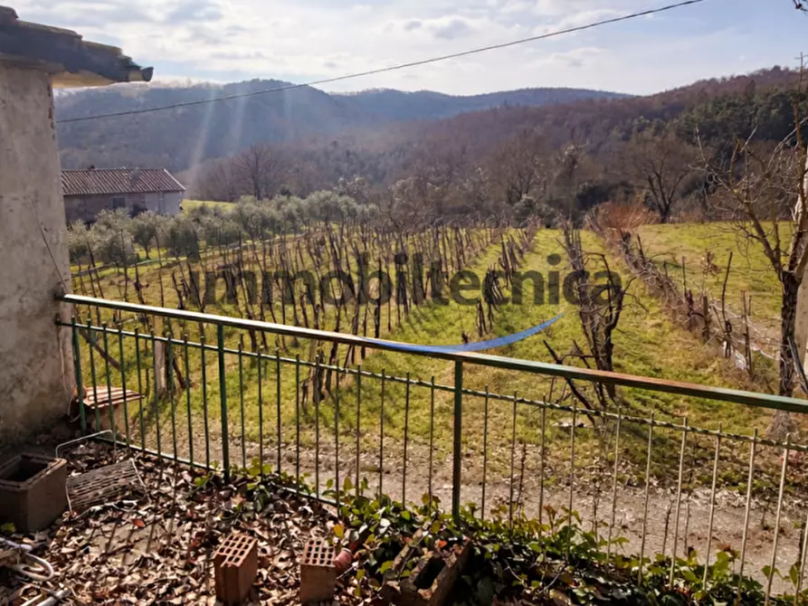Immagine 4 di Terreno in vendita  in San Martino a Capolona