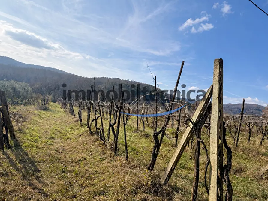 Immagine 6 di Terreno in vendita  in San Martino a Capolona
