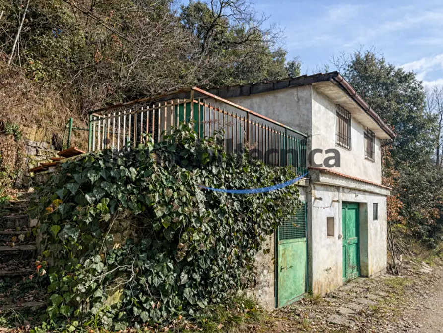 Immagine 12 di Terreno in vendita  in San Martino a Capolona