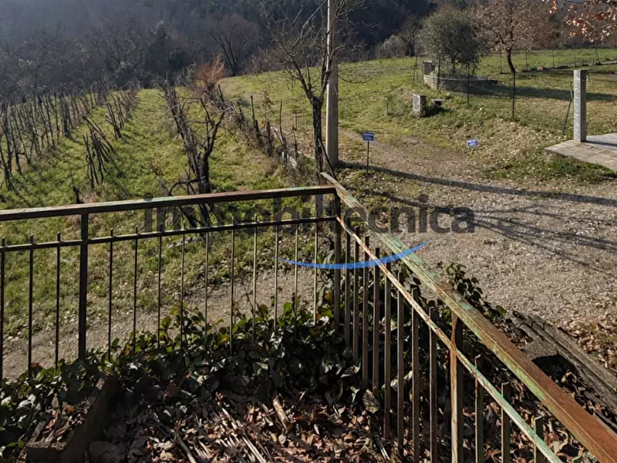 Immagine 15 di Terreno in vendita  in San Martino a Capolona