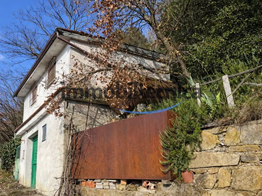 Immagine 19 di Terreno in vendita  in San Martino a Capolona