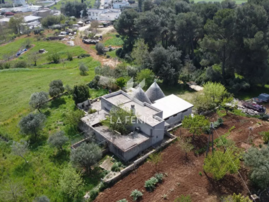 Immagine 5 di Rustico / casale in vendita  in contrada nigri a Martina Franca