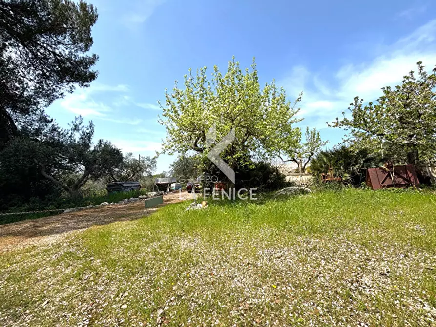 Immagine 21 di Rustico / casale in vendita  in contrada nigri a Martina Franca