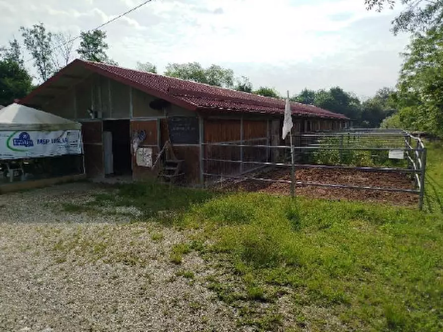 Immagine 1 di Attività commerciale in vendita  in Frazione Cassol a Santa Giustina