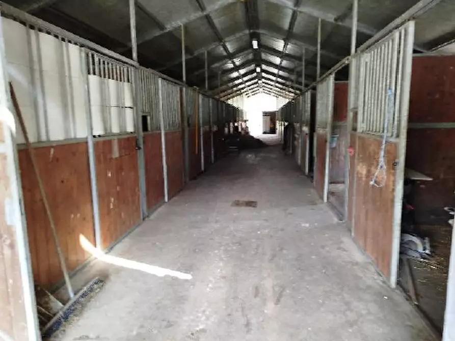 Immagine 6 di Attività commerciale in vendita  in Frazione Cassol a Santa Giustina