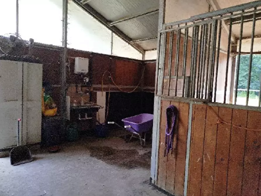 Immagine 7 di Attività commerciale in vendita  in Frazione Cassol a Santa Giustina