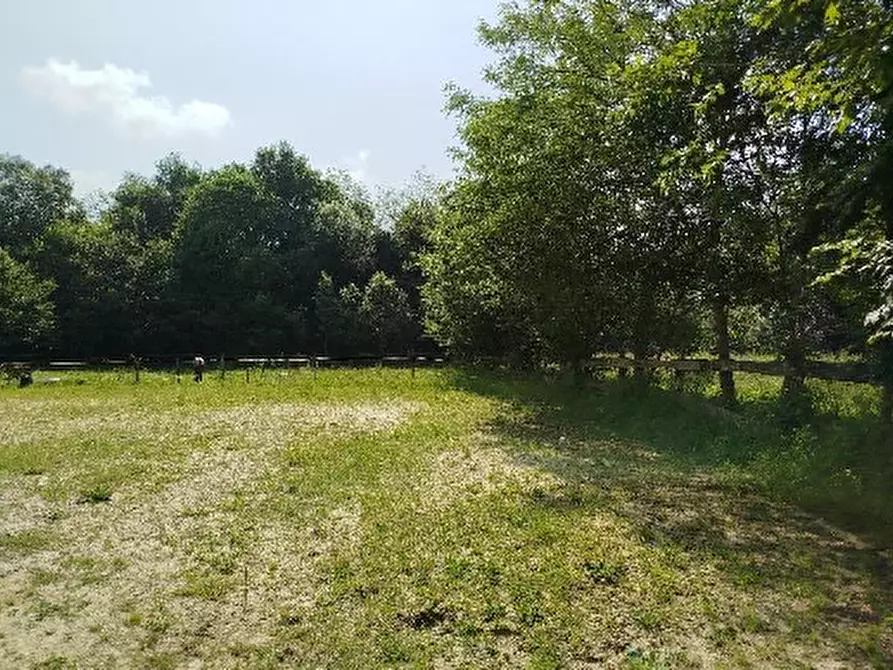 Immagine 9 di Attività commerciale in vendita  in Frazione Cassol a Santa Giustina