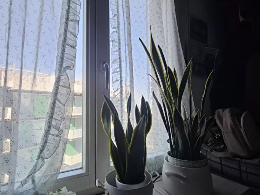 Immagine 53 di Appartamento in vendita  in Viale Amerigo Vespucci a Rimini