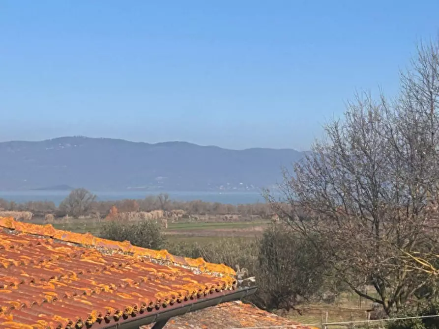 Immagine 7 di Appartamento in vendita  in Località Carraia a Castiglione Del Lago