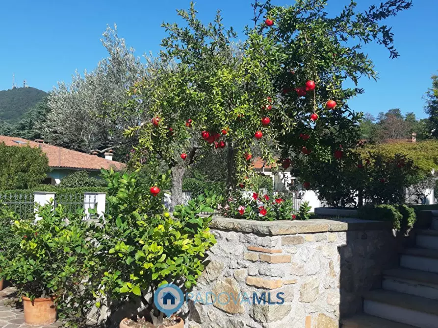 Immagine 17 di Villa in vendita  in Via Monte Cecilia a Baone