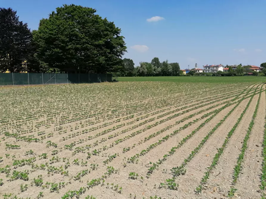 Immagine 4 di Terreno in vendita  a Padova