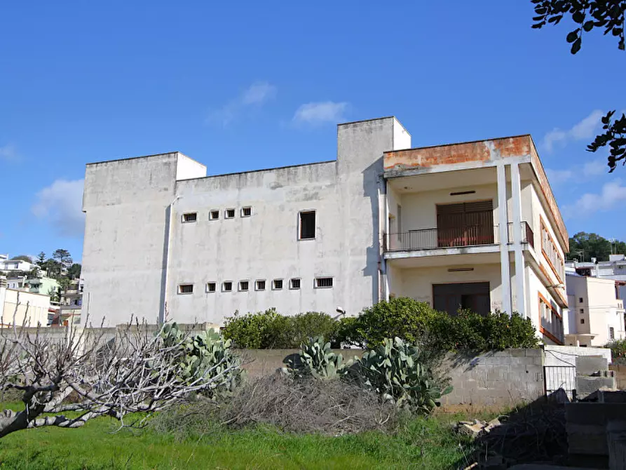 Immagine 4 di Laboratorio in vendita  in Via Torino a Matino