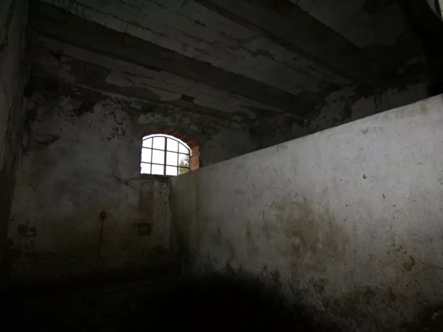 Immagine 13 di Rustico / casale in vendita  a Torrita Di Siena