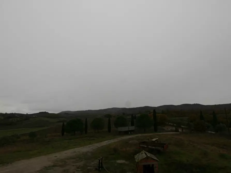 Immagine 31 di Rustico / casale in vendita  a Torrita Di Siena