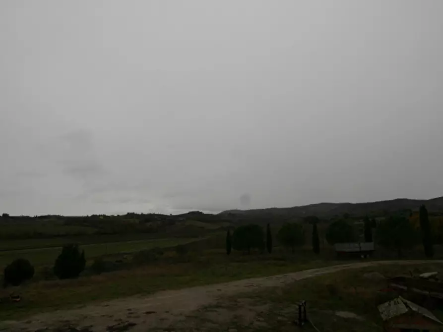 Immagine 32 di Rustico / casale in vendita  a Torrita Di Siena