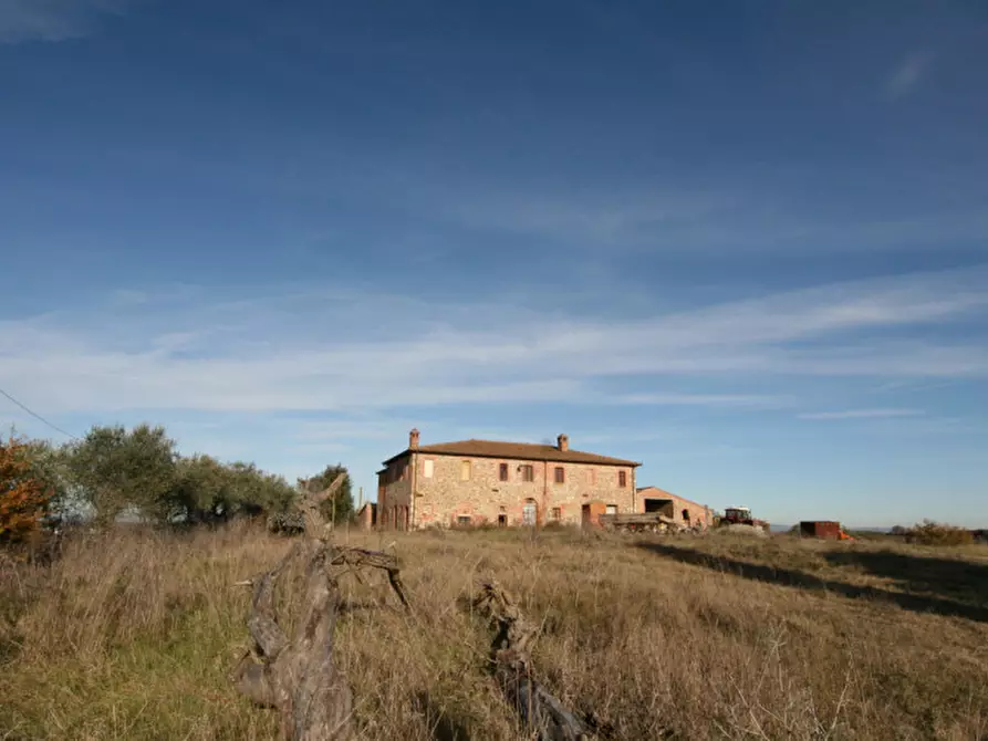 Immagine 42 di Rustico / casale in vendita  a Torrita Di Siena