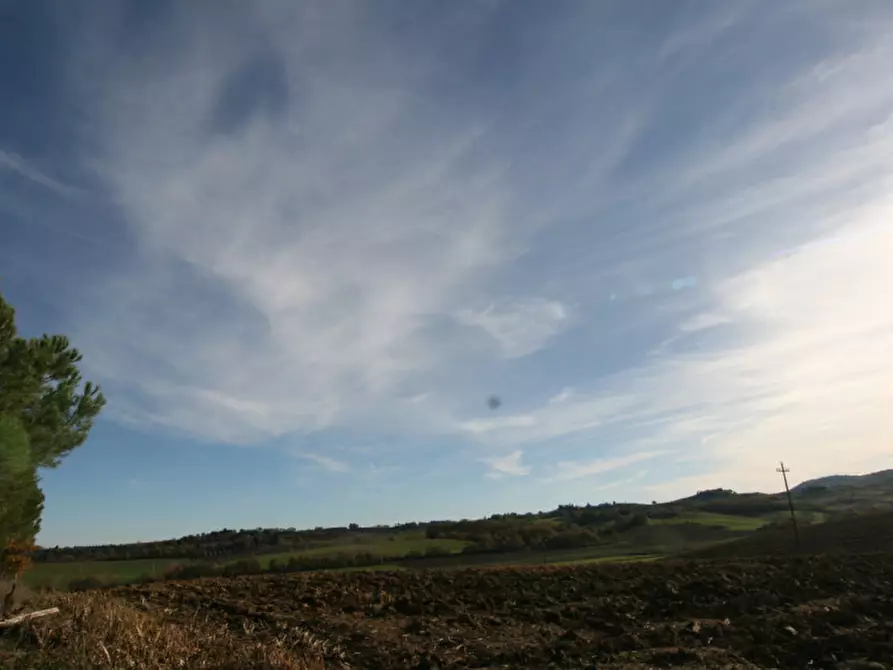 Immagine 43 di Rustico / casale in vendita  a Torrita Di Siena