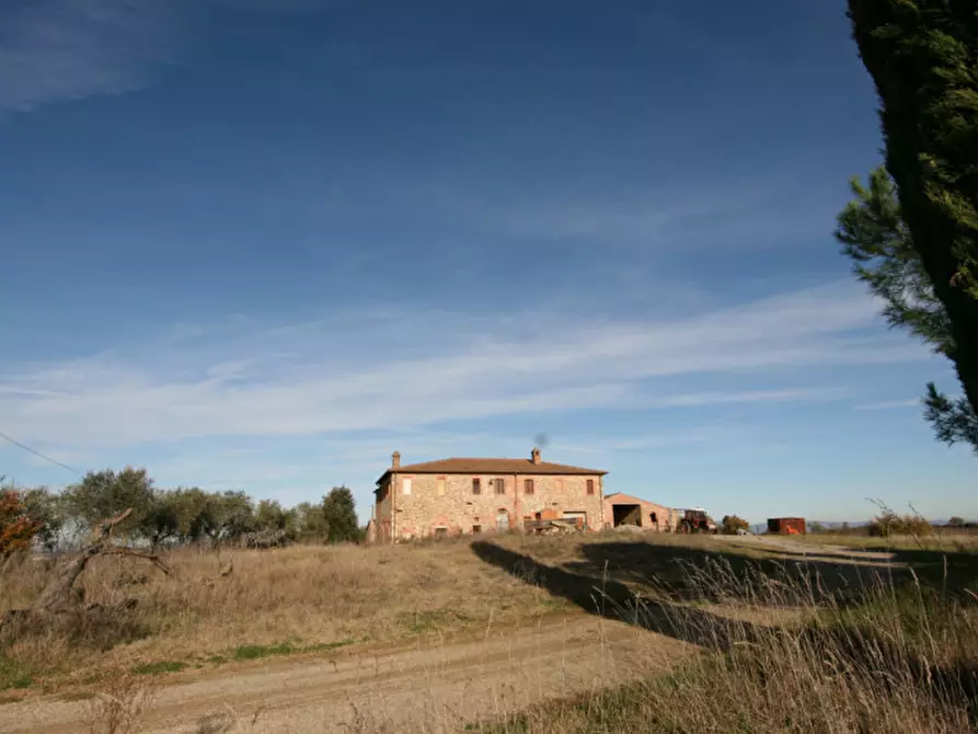 Immagine 45 di Rustico / casale in vendita  a Torrita Di Siena