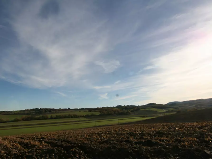 Immagine 46 di Rustico / casale in vendita  a Torrita Di Siena