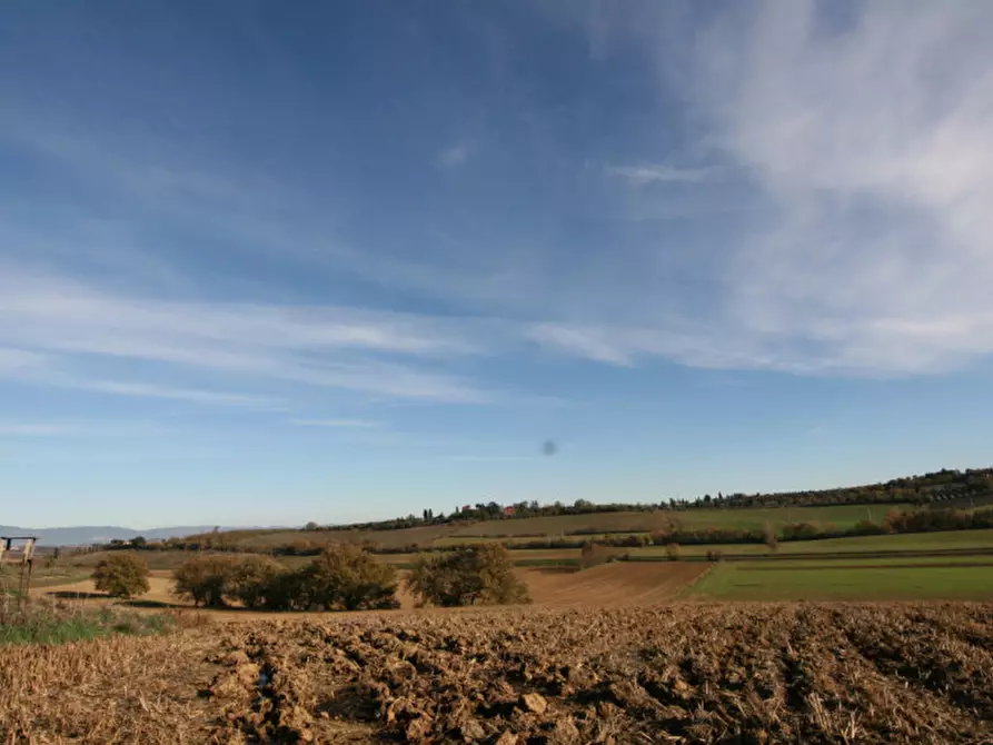 Immagine 47 di Rustico / casale in vendita  a Torrita Di Siena