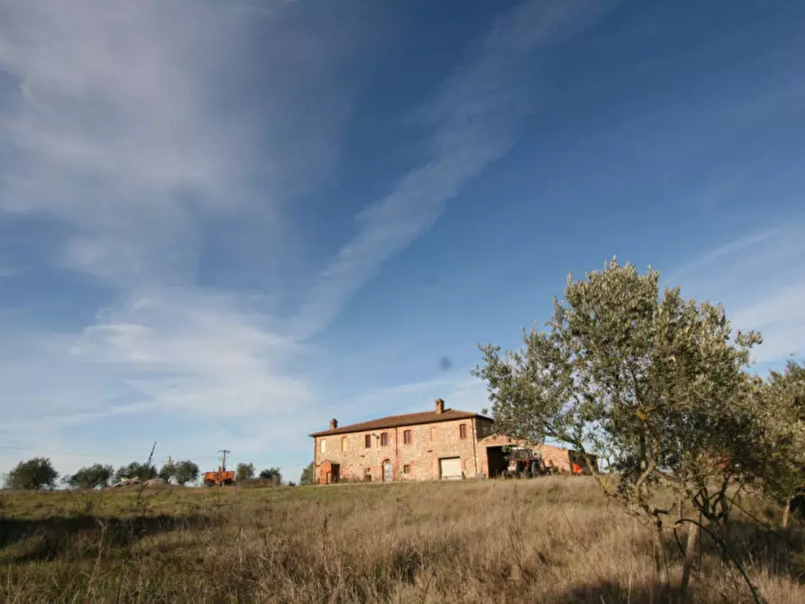 Immagine 48 di Rustico / casale in vendita  a Torrita Di Siena