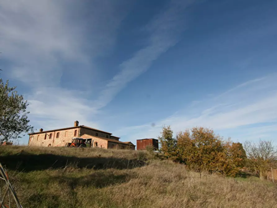 Immagine 49 di Rustico / casale in vendita  a Torrita Di Siena