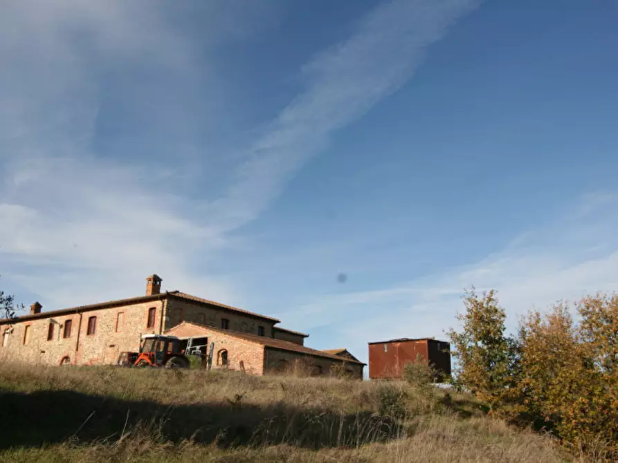 Immagine 50 di Rustico / casale in vendita  a Torrita Di Siena