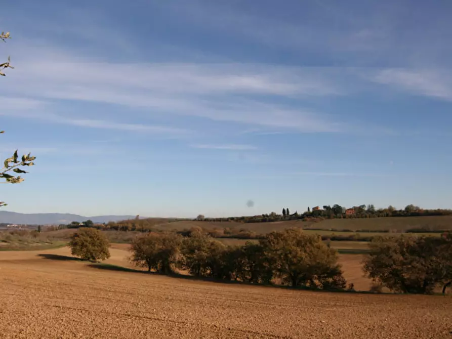 Immagine 51 di Rustico / casale in vendita  a Torrita Di Siena
