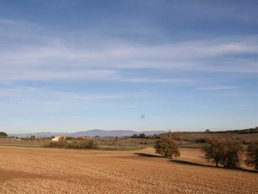 Immagine 52 di Rustico / casale in vendita  a Torrita Di Siena
