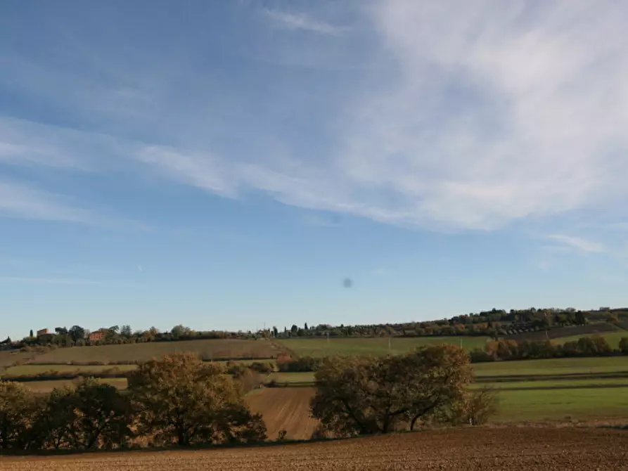 Immagine 53 di Rustico / casale in vendita  a Torrita Di Siena
