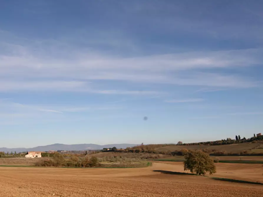 Immagine 54 di Rustico / casale in vendita  a Torrita Di Siena