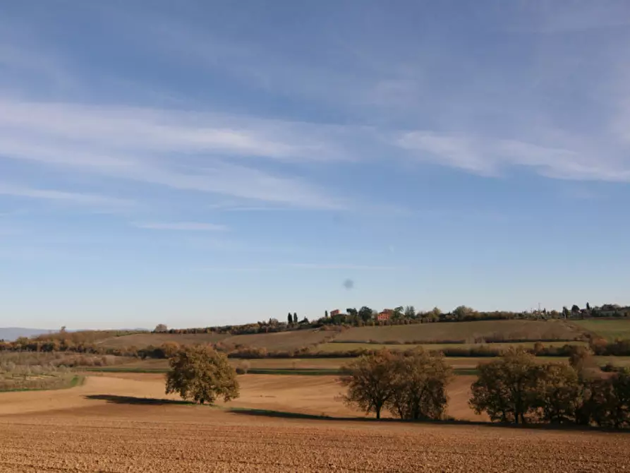Immagine 55 di Rustico / casale in vendita  a Torrita Di Siena
