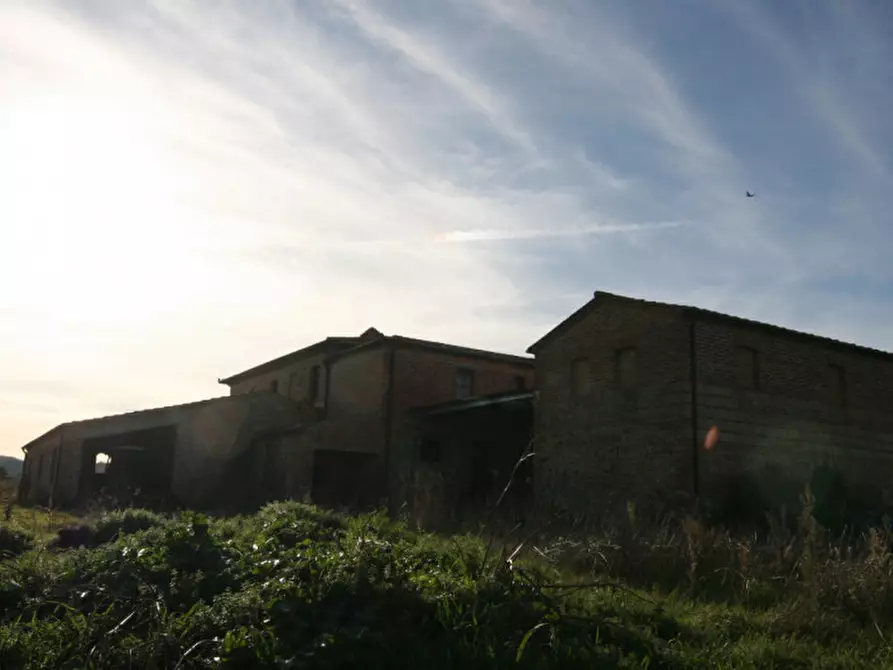 Immagine 57 di Rustico / casale in vendita  a Torrita Di Siena