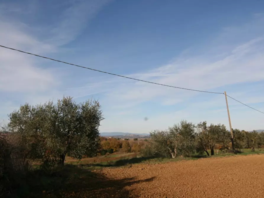 Immagine 59 di Rustico / casale in vendita  a Torrita Di Siena