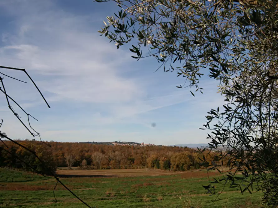Immagine 60 di Rustico / casale in vendita  a Torrita Di Siena