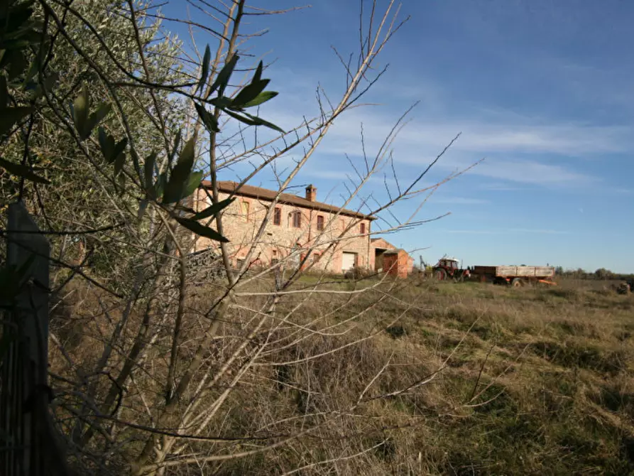 Immagine 65 di Rustico / casale in vendita  a Torrita Di Siena