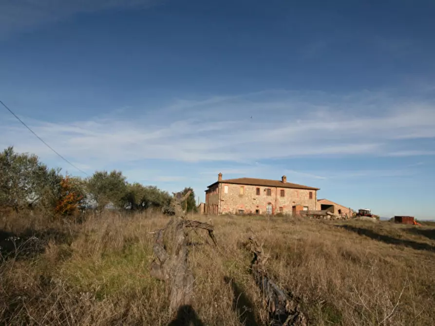 Immagine 66 di Rustico / casale in vendita  a Torrita Di Siena