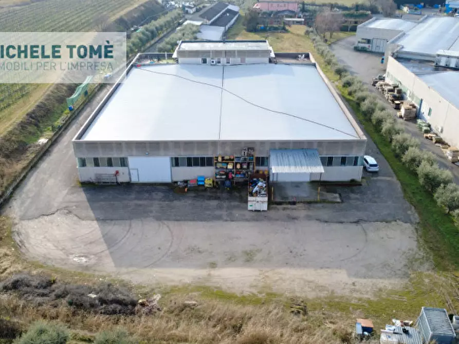 Immagine 6 di Capannone industriale in affitto  in località colombare a Lazise