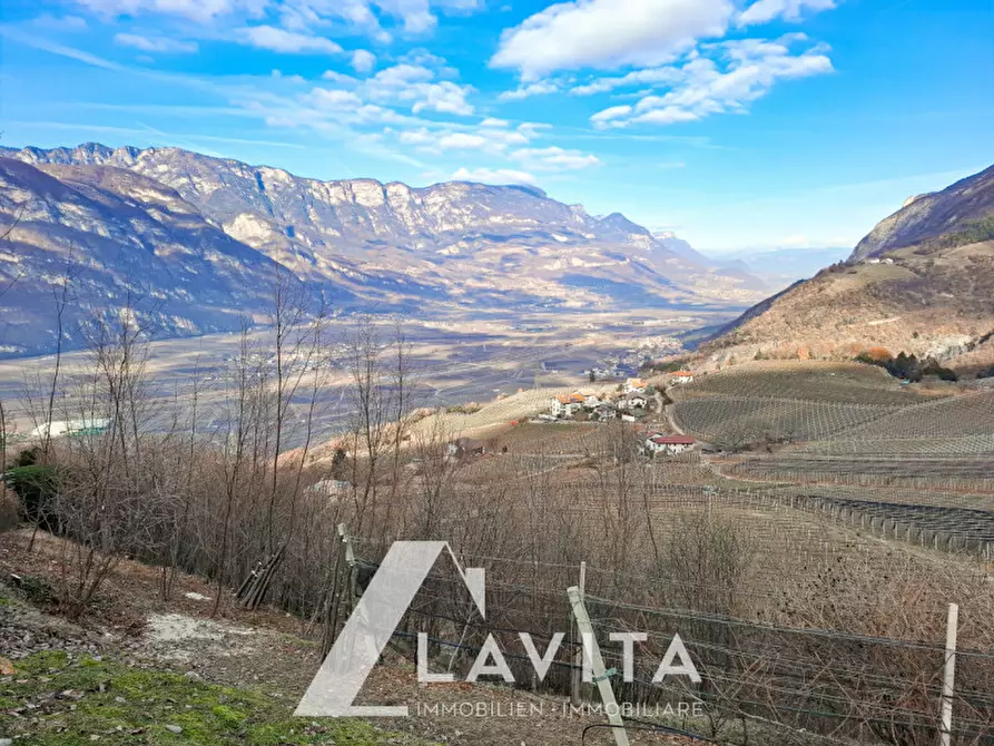 Immagine 1 di Attività commerciale in affitto  a Salorno .Salurn.