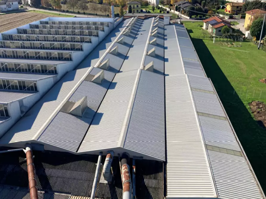 Immagine 3 di Capannone industriale in vendita  in Via Marigonda 27 a Gorgo Al Monticano