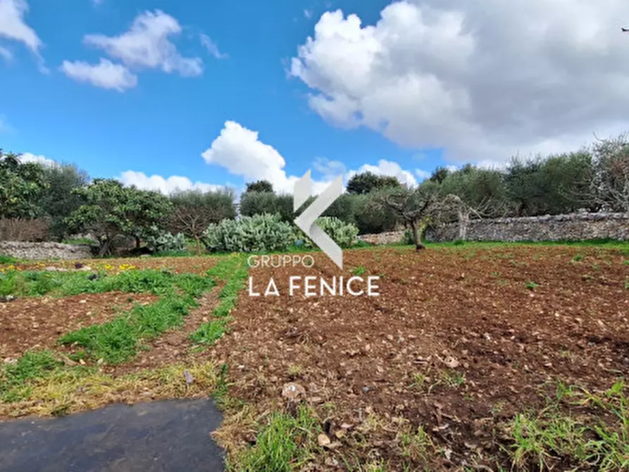 Immagine 44 di Casa indipendente in vendita  in contrada trito 67 a Locorotondo